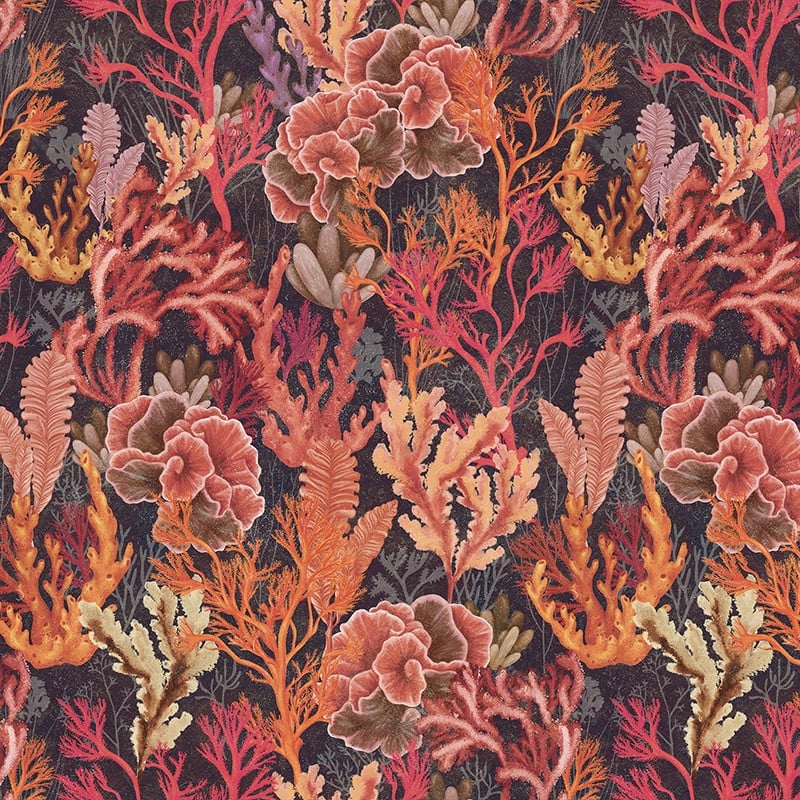 Corallium Cuvier, Red, VLAdiLA